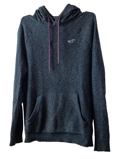 Dark Blue Hollister Hoodie